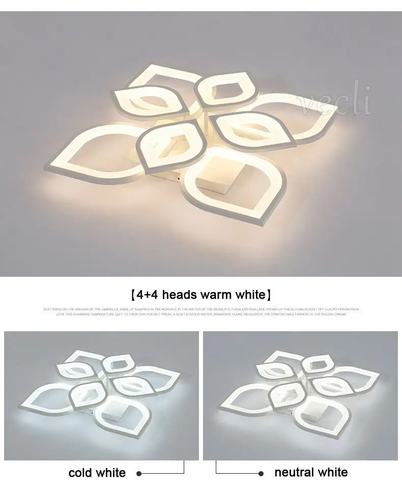 Ceiling lamp (12)