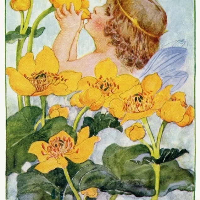 King Cups Poster Print By Mary Evans Picture Librarypeter & Dawn Cope Collection (18 X 24)