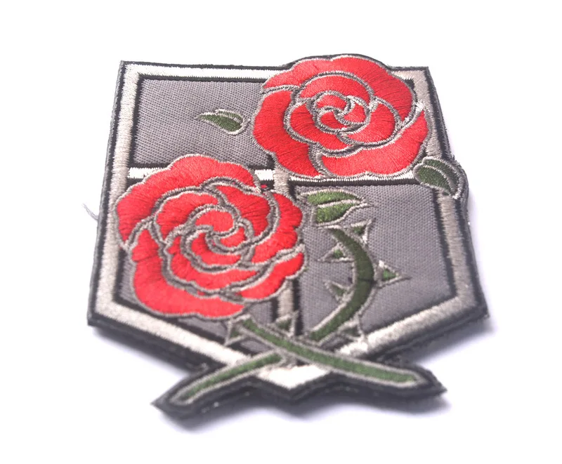 aeProduct.getSubject()