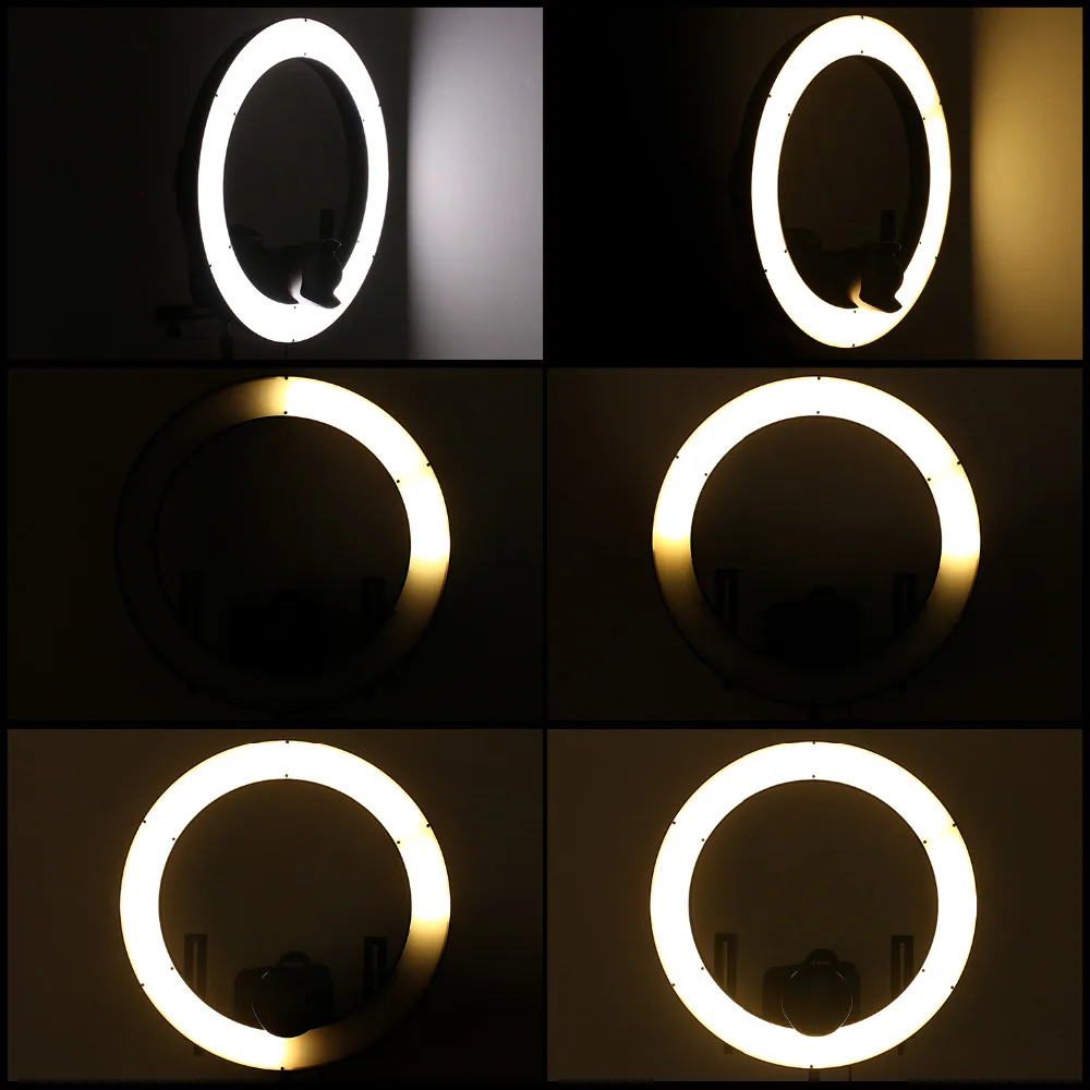 40088381_5