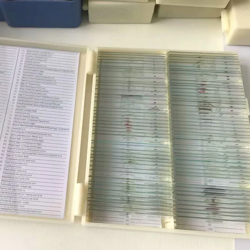 100 шт Медицинский паразитовый микроскоп готовые слайды паразитологические готовые слайды