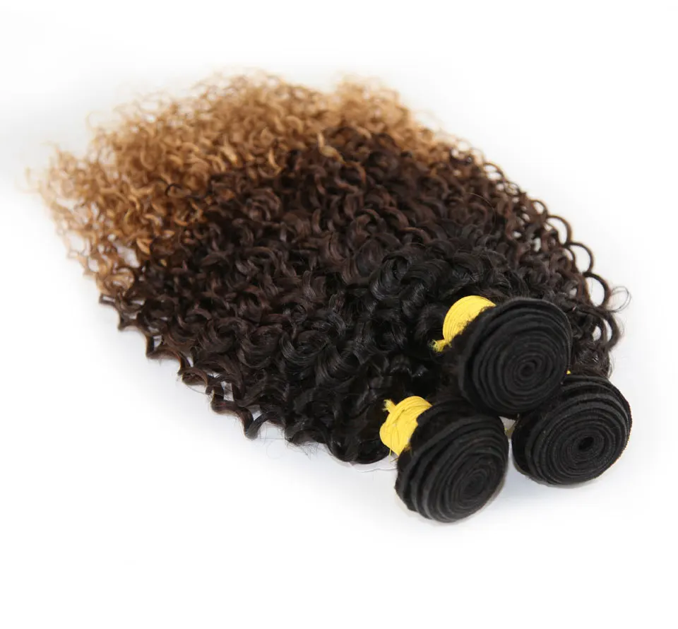 Hair Villa Ombre Brazilian Remy Hair Kinky Curly 1pc 1B427 Ombre Human Hair Bundles For Salon Low Ratio Longest Hair PCT 15% (7)