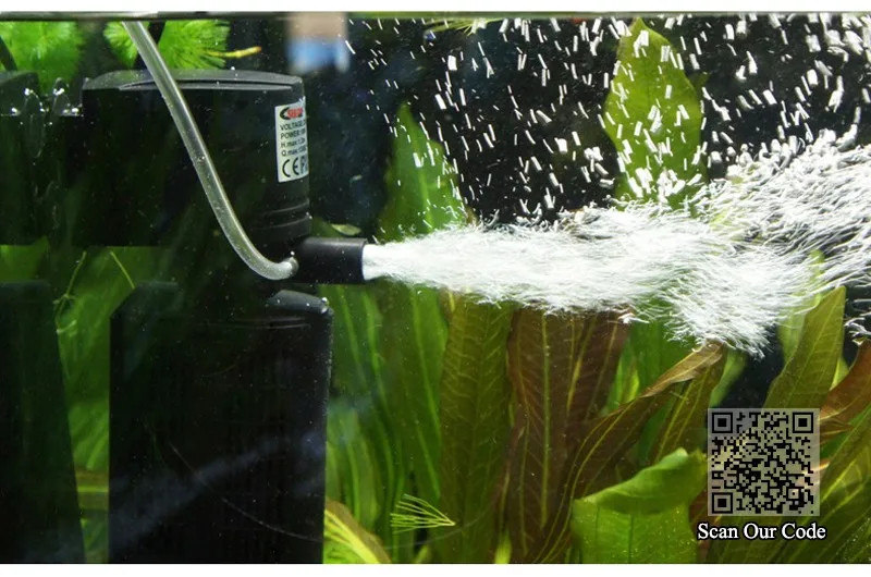 Как правильно установить фильтр в аквариуме фото Как правильно установить фильтр в аквариуме фото