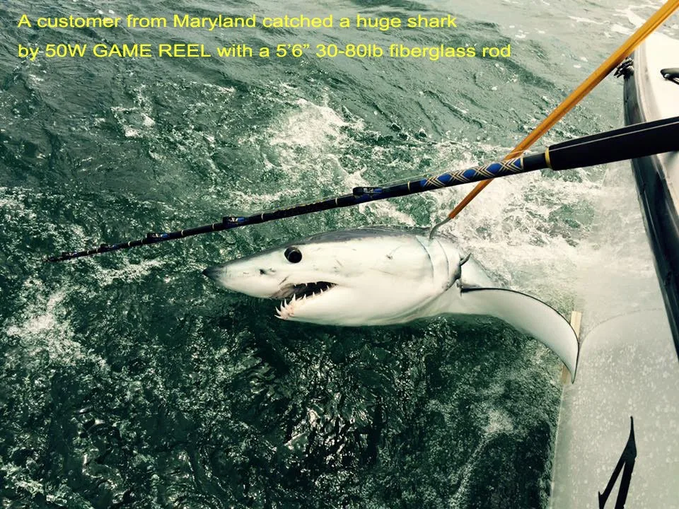 Cheap trolling reels