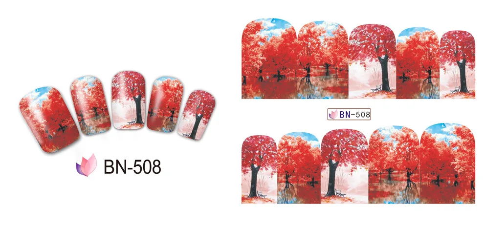BN508