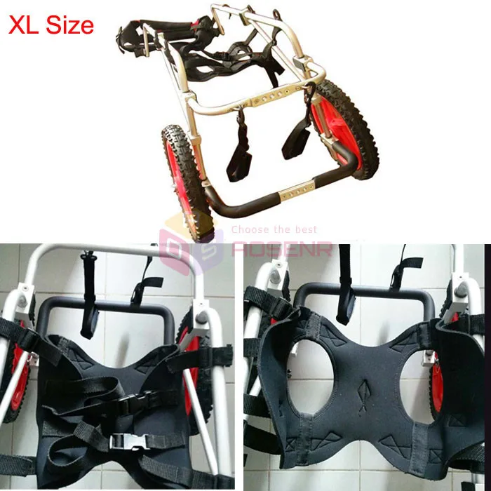 XL