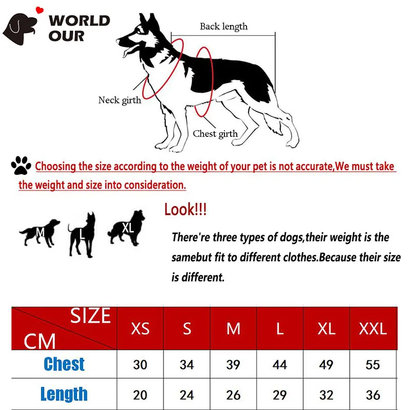 new year costume for dogs