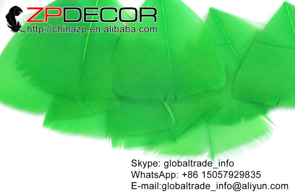 green turkey feathers petal (7)