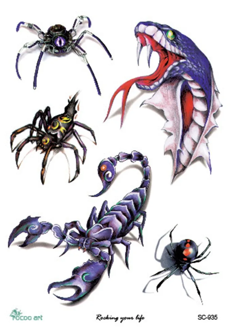 SC2935
