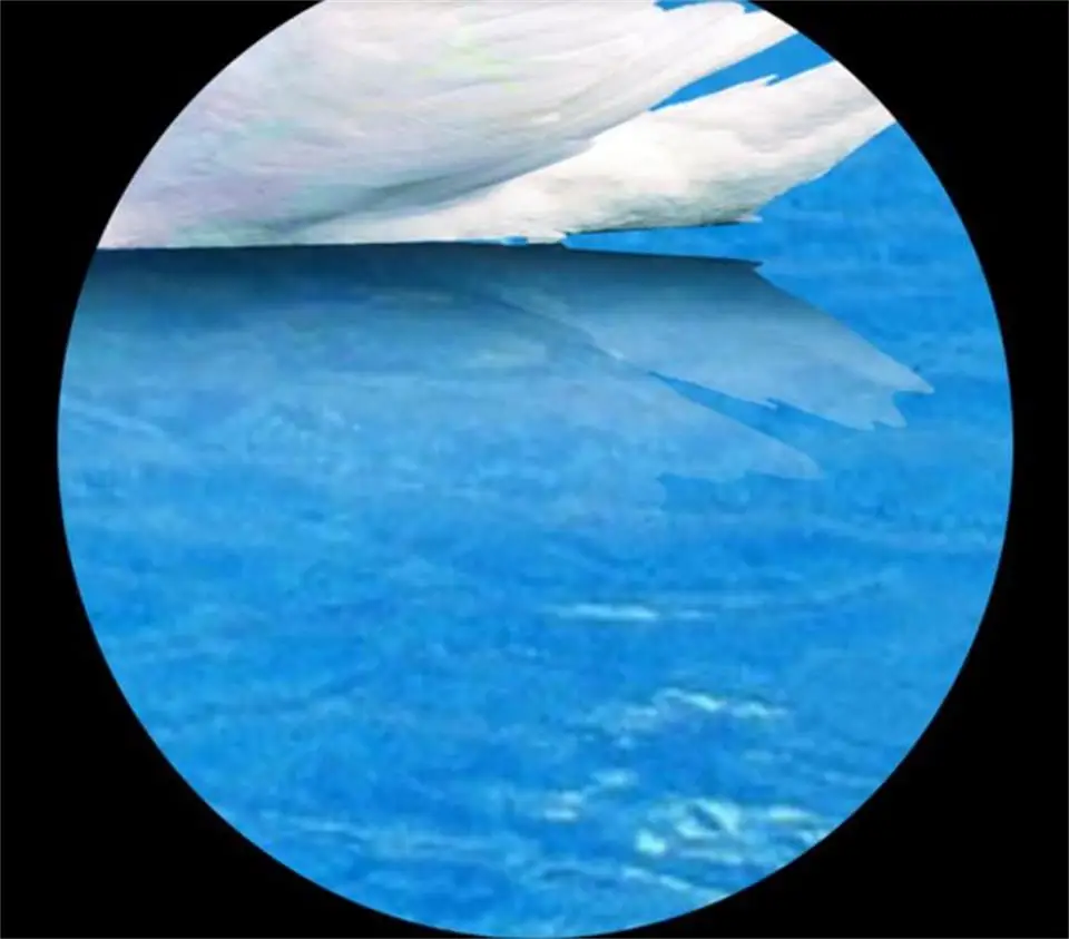 36020171231235837179