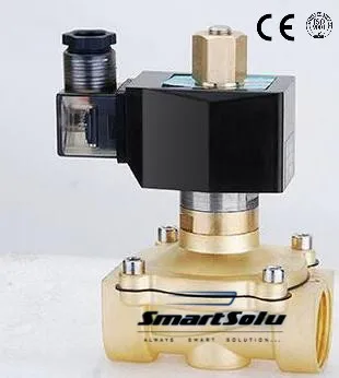 

Normally Open 2" Port Size Pneumatic Electric Solenoid Valve Water Air Gas Oil 2w500-50 - N/O AC DC 12V 24V 110V 220V