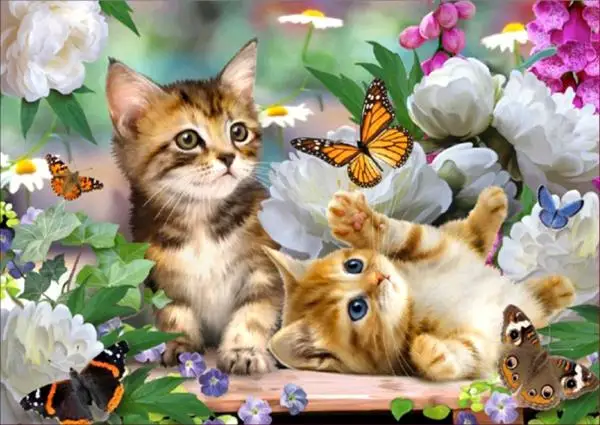 

5D DIY Diamond painting Butterflies and cats embroidery diamond Cross Stitch full circular Rhinestone 2019 home decoration