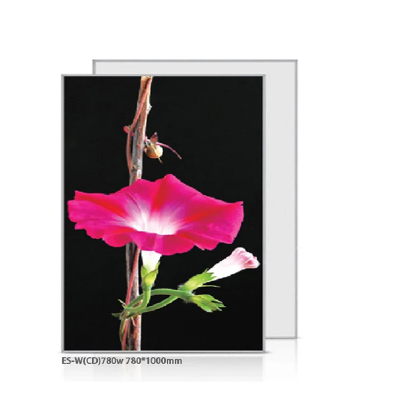 

780W Customized Design heater High quality! warm wall,Infrared heater(carbon crystal heater panel)