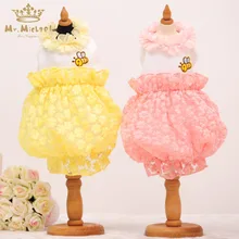 Lace Embroidered Dog puppy luxury dress pet cat Tutu skirt Princess wedding Dress winter dog chihuahua fleece clothes dress