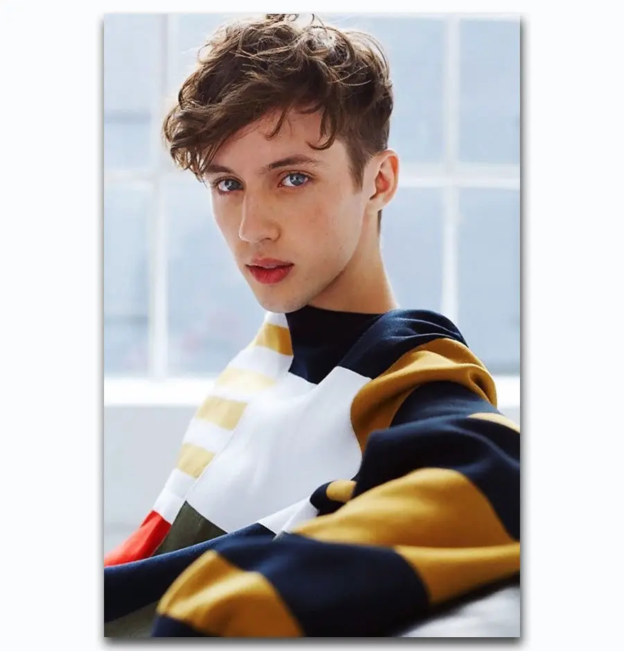 Hot New Troye Sivan Custom Pop Music Star 2-Silk Art Poster Wall Sicker Decoration Gift