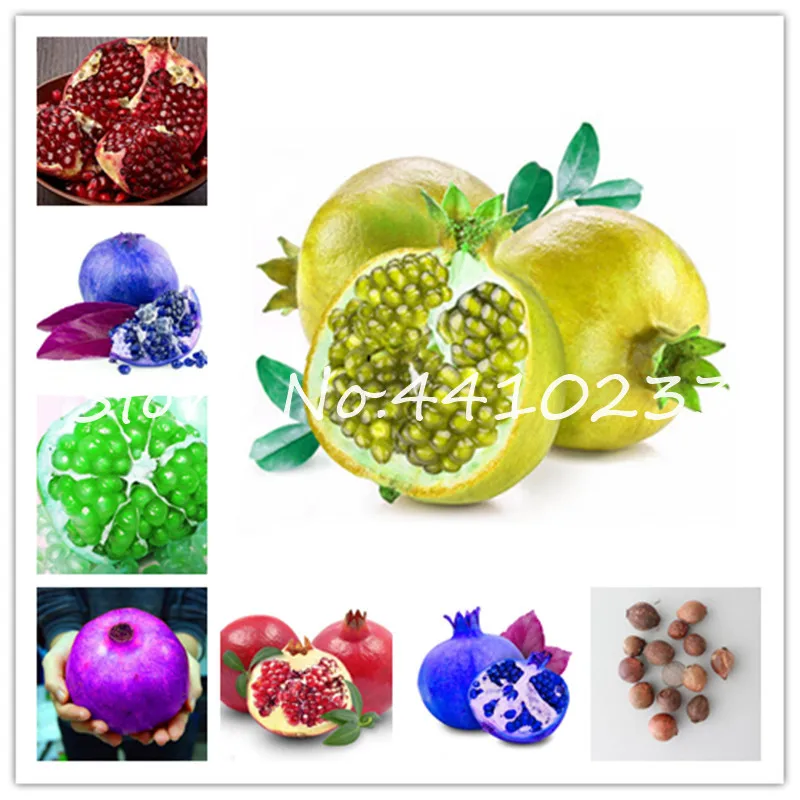 

30 Pcs Mixed Pomegranate Bosnai Sweet Delicious Fruit Bonsai Succulents Plant Tree Bonsai For Garden Plants Semillas Flower
