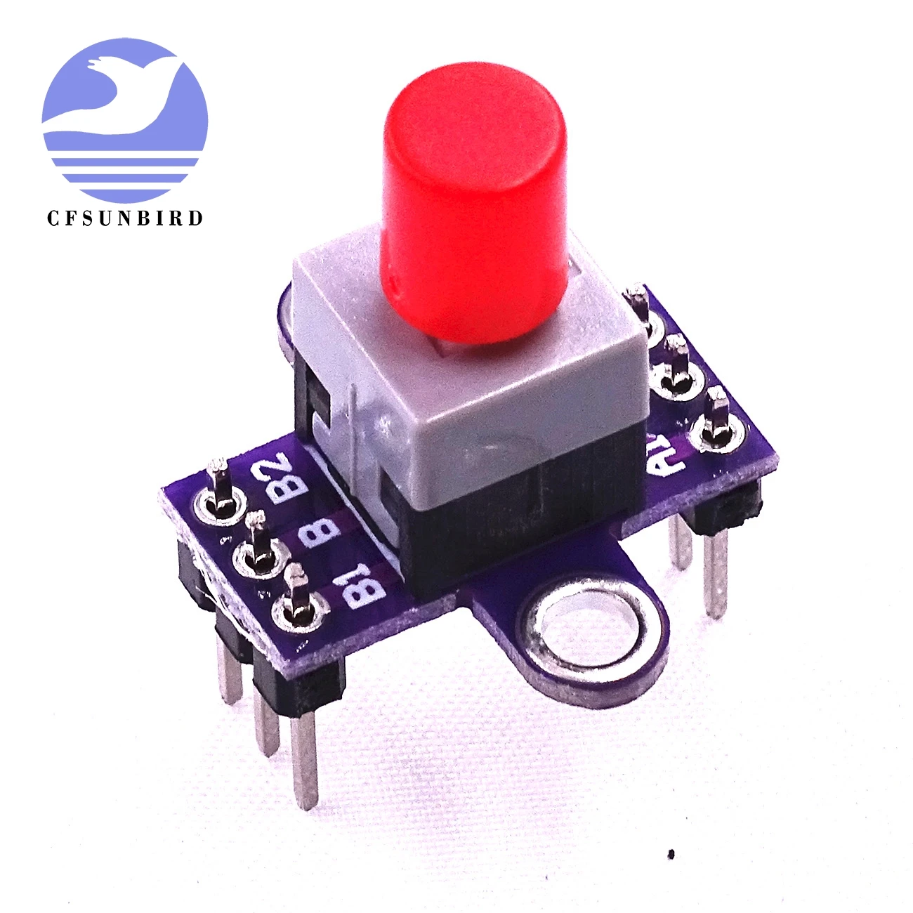 Self locking switch with lock key, double switch with lock switch DIY