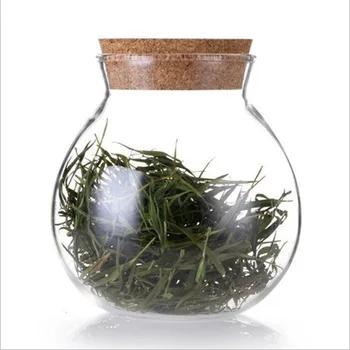 

Succulents Moss Heat-resistant Glass Bottle Tabletop Vase & Crystal Cork Seal Ecology LIDL Europe 10cm / 15cm