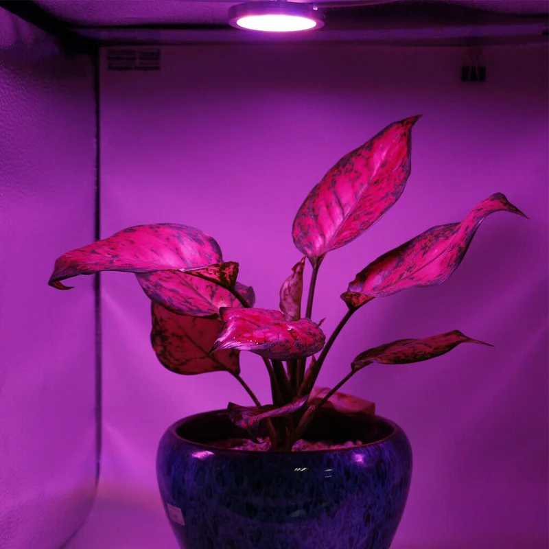 usb led grow lamp1