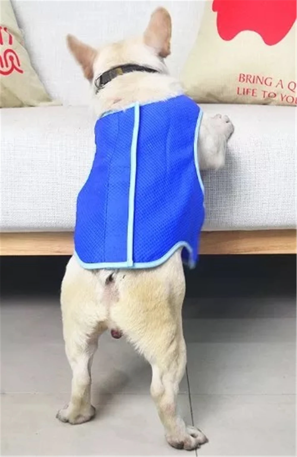 1 (5)