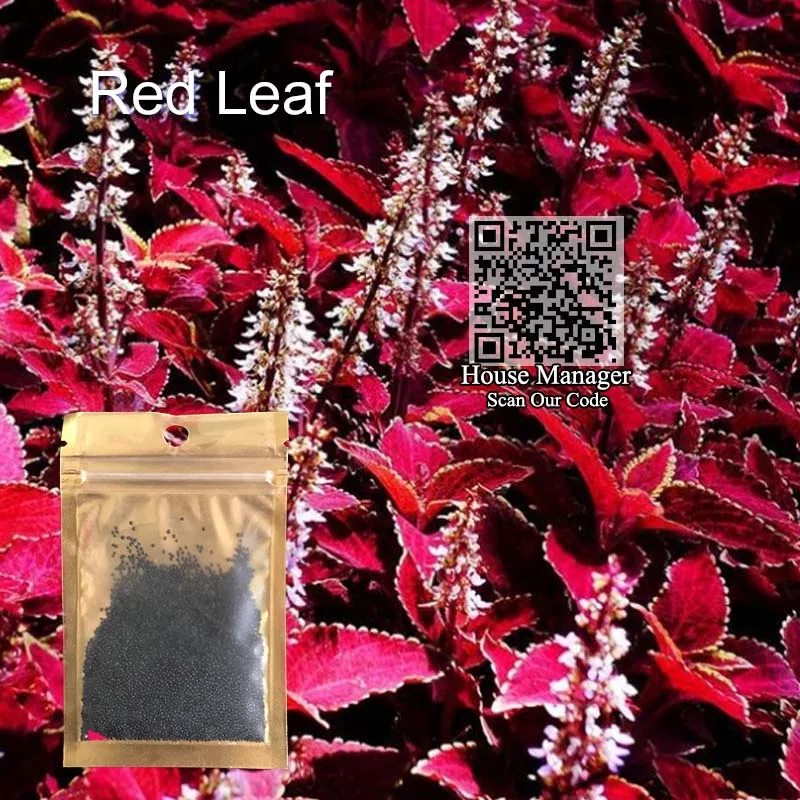 Водное растение водоросли водная трава Семена аквариумных растений, пара/Cowhair/Любовь/счастливчик/Сердце/красный лист аквариум водный пейзаж - Цвет: Red Leaf