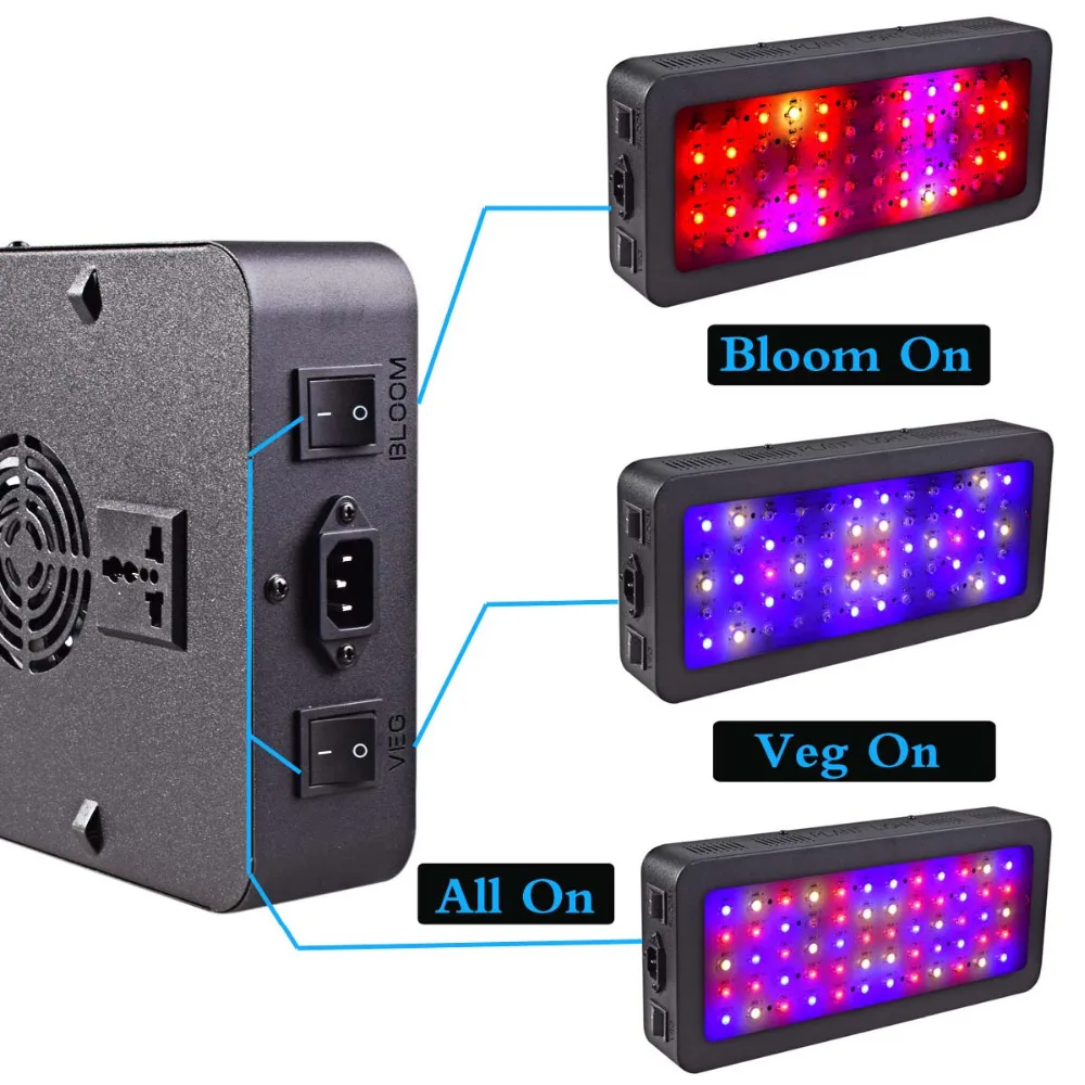600W-3