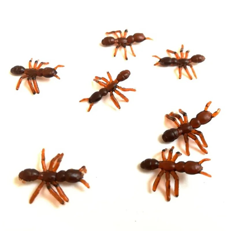 3_