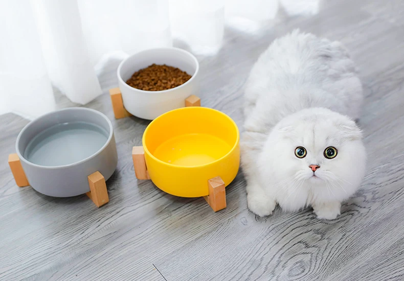 Чаша для кошек HOOPET, керамическое блюдо для щенков, кормление и поилка для собак, кошек, товары для домашних животных