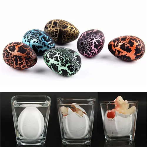 

1pcs Educational Toys Novel Water Hatching Inflation Dinosaur Egg Watercolor Cracks Grow Egg