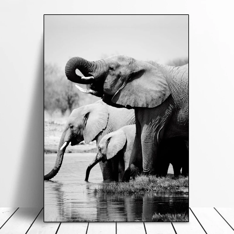 picture wall painting canvas painting x3