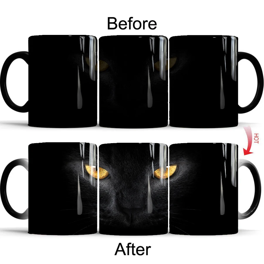 cat2