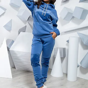 

Warm Winter Women 2 Pieces Set 2018 Long Sleeves Velvet Hooded Top And Long Pants Female Suit Streetwear SJ1286E
