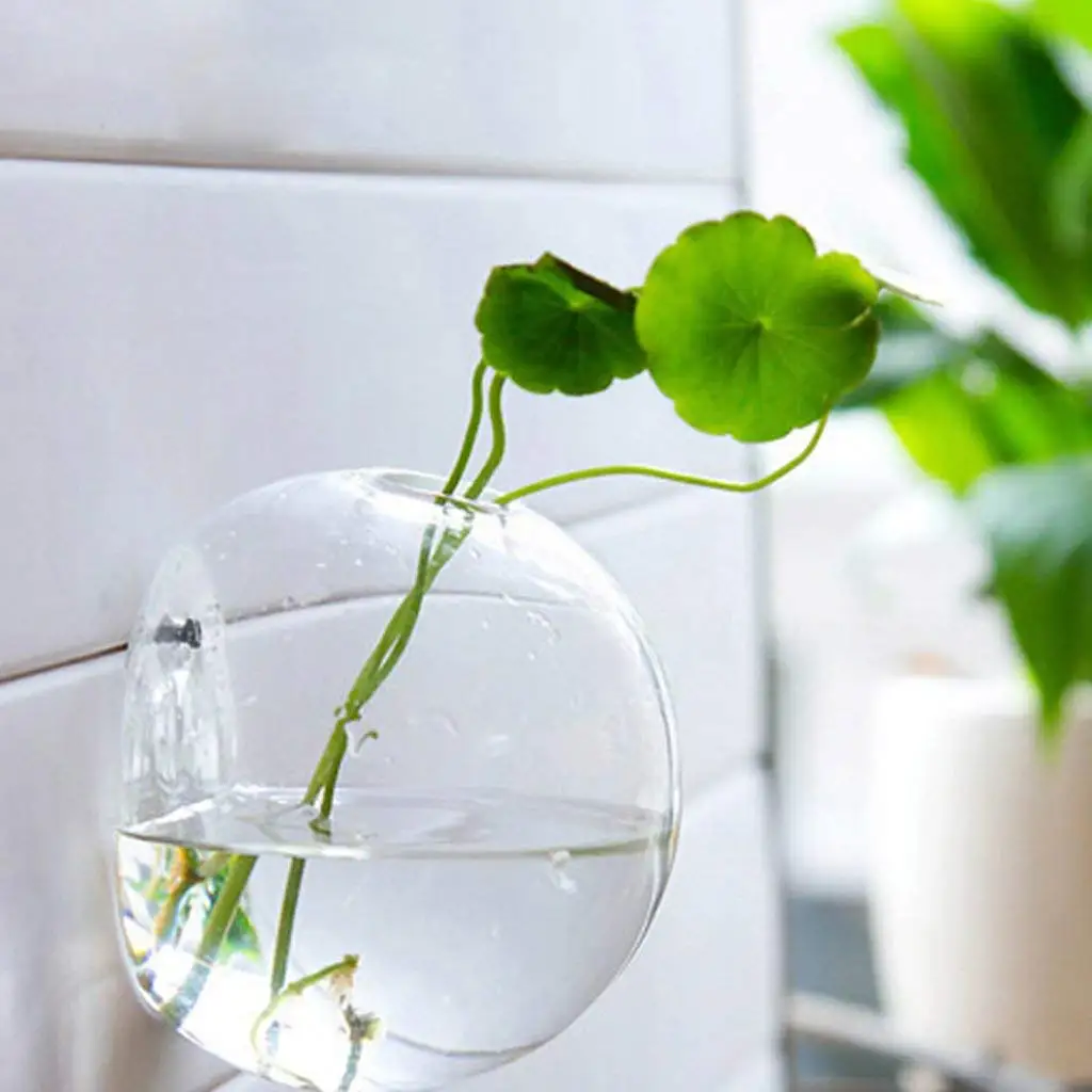 

Creative Handcraft Hanging Vases Round Glass Plant Pots Clear Succulent Plant Glass Display Vases Wall Terrariums Hydroponic Vas