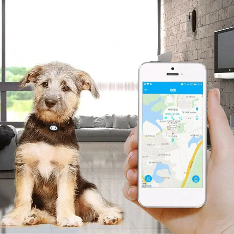 Pet Locator Intelligence GPS Location Waterproof Tracker Collar Geo Fence Longtime Standby Dog Cat Puppy Finder Alarm Voice App