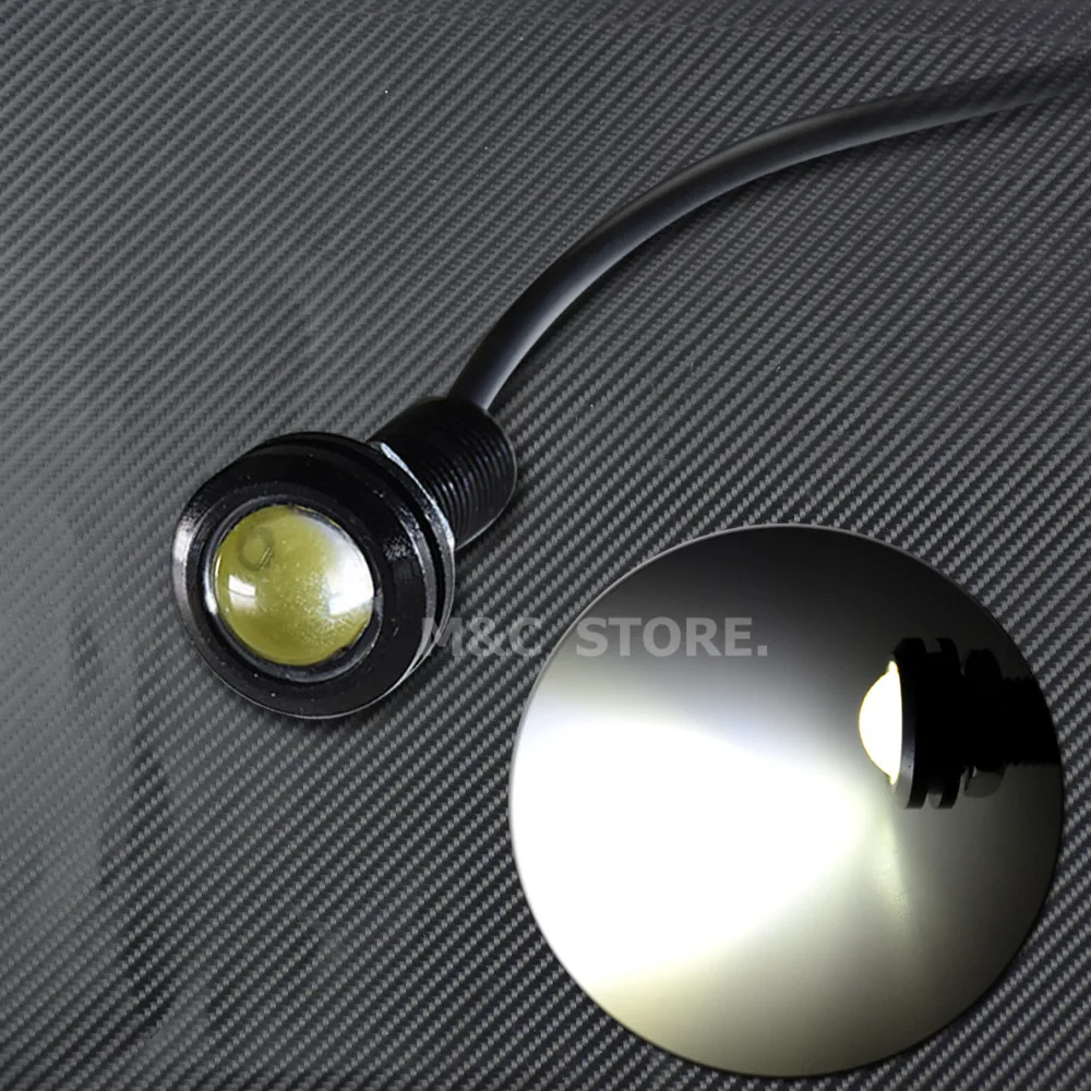 Eagle Light LA006701c