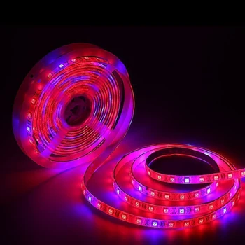 

5M LED Phyto Lamps Full Spectrum led grow lights 3Red 1Blue 7Red 1Blue LED Fitolampy Grow Lights For Greenhouse Hydroponic plant