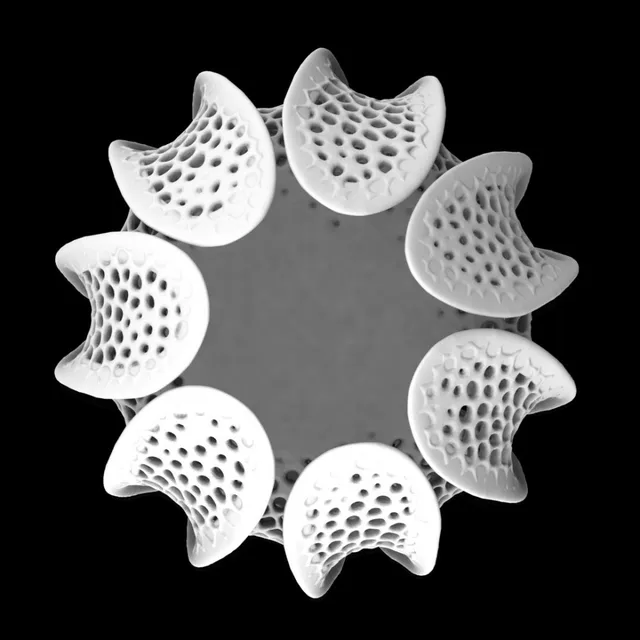 Модели Модели