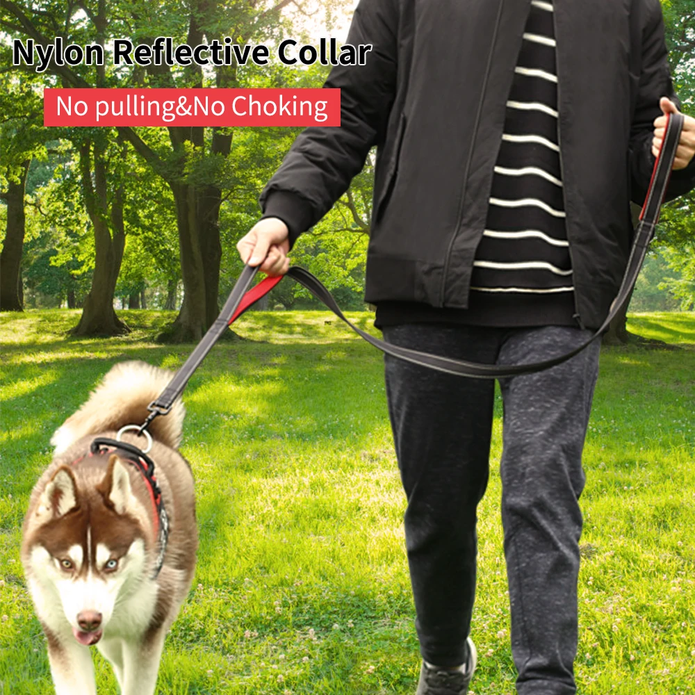 

Two Handles Reflective Dog Leash Nylon Double-layer Strong Soft Dog Lead Reflective Safe Night Walking or Running Pet Products