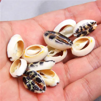 

5pcs 12*18mm Leopard Print Natural Cut Cowrie Shell Beads Digital Printing Shell For DIY Handmade Jewelry Accessories Home Decor