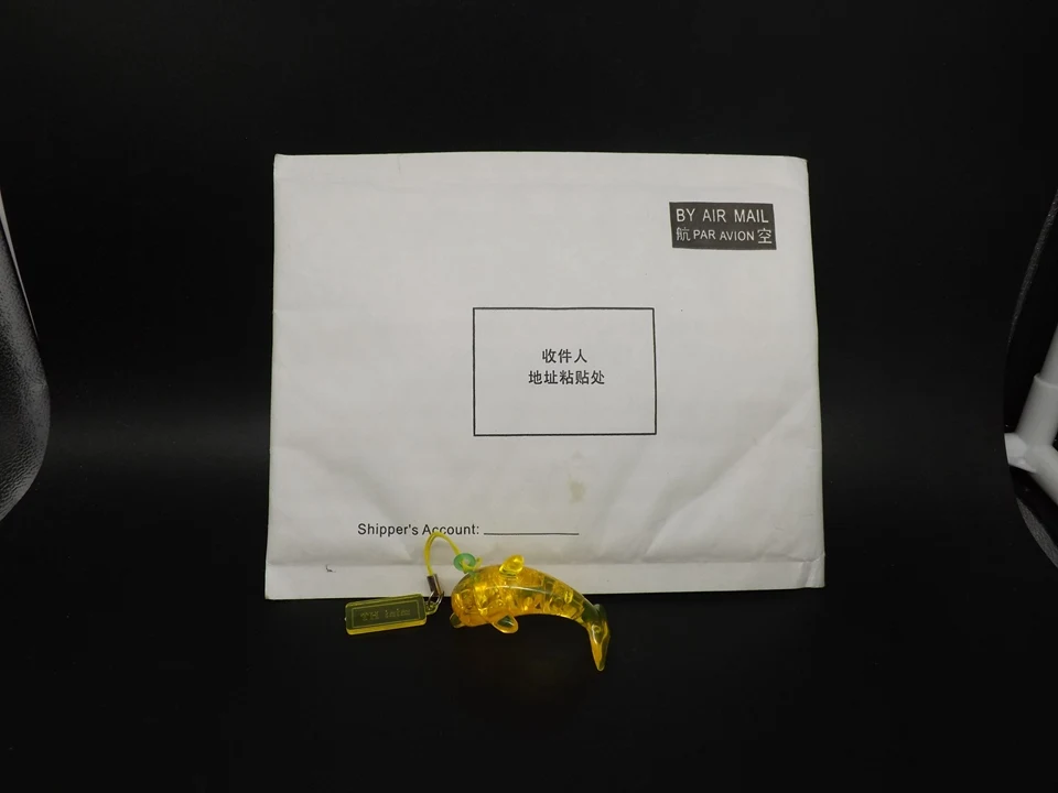 PP082-Dolphin-F-Y (17)