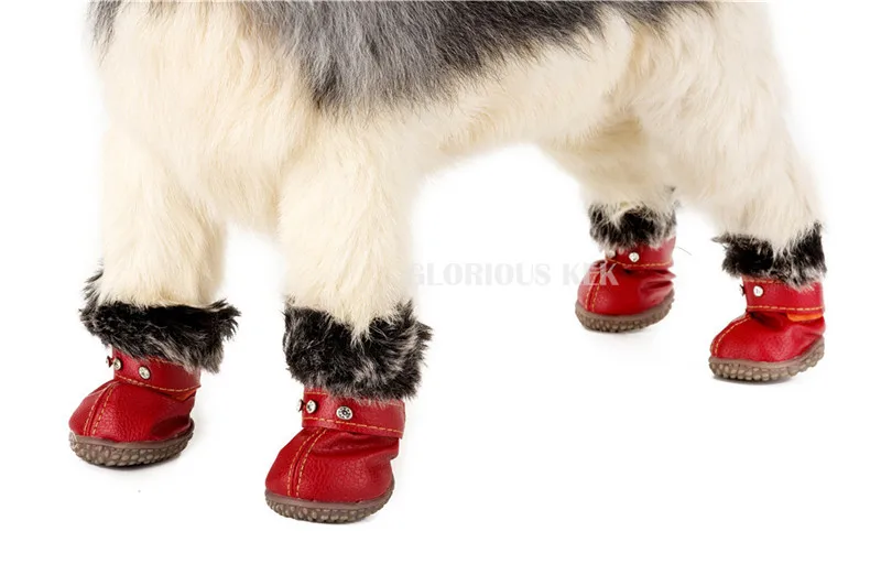 Dog Boots (5)