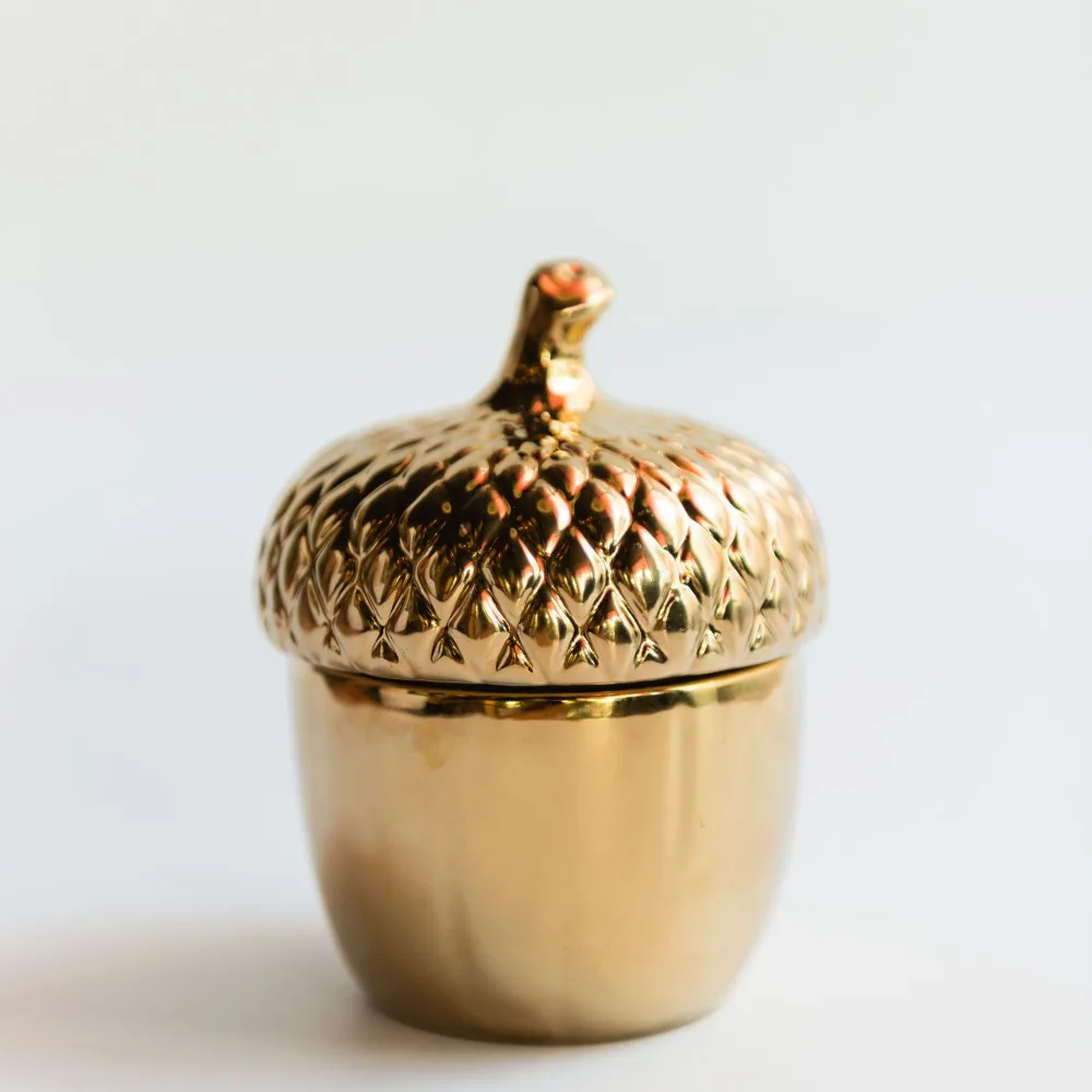The Danish design Ceramic creative storage jars, pinecone ceramic