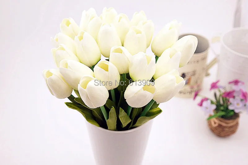 SAM_6443