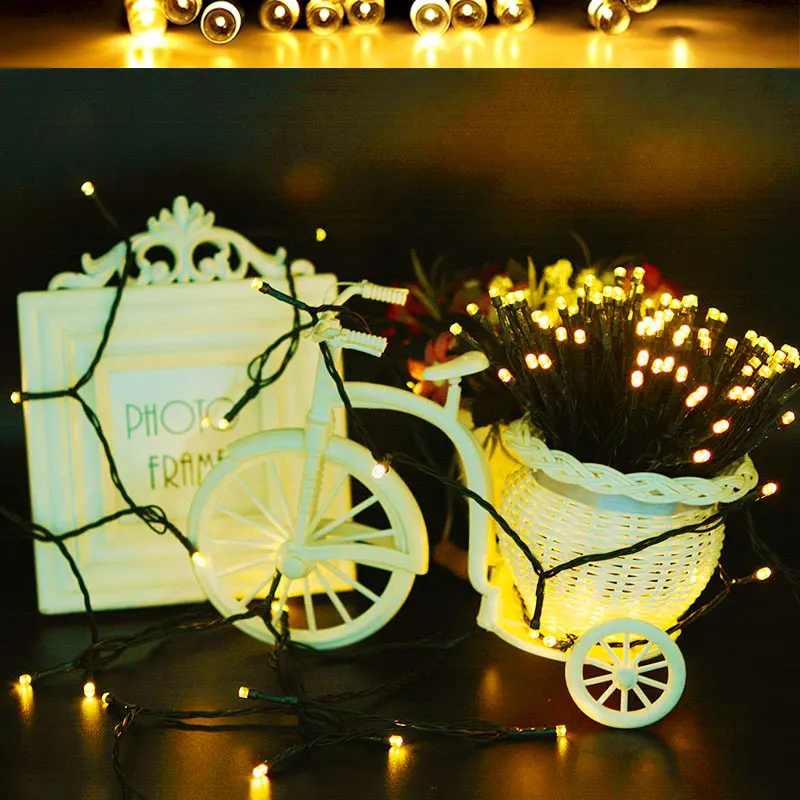 Solar Light- (2)
