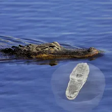 3D Single Shantou Ice Cube Creative environmental grade silicone ice mold