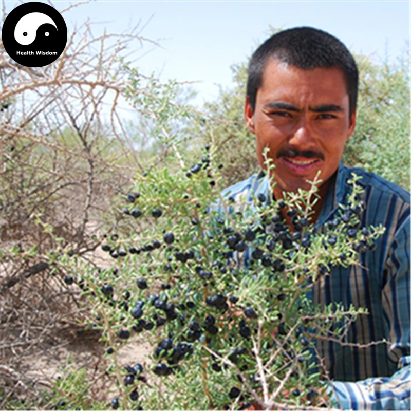 

Buy Real Black Goji Berry Tree Semente 400pcs Plant Chinese Black Wolfberry For Black Goji Berries