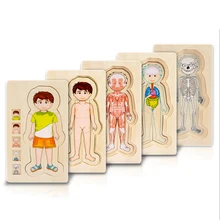 Монтессори, игрушки для детей, раннее обучение, головоломка, деревянные игрушки, пазлы для человеческого тела, для мальчиков и девочек, структура тела, детские игрушки