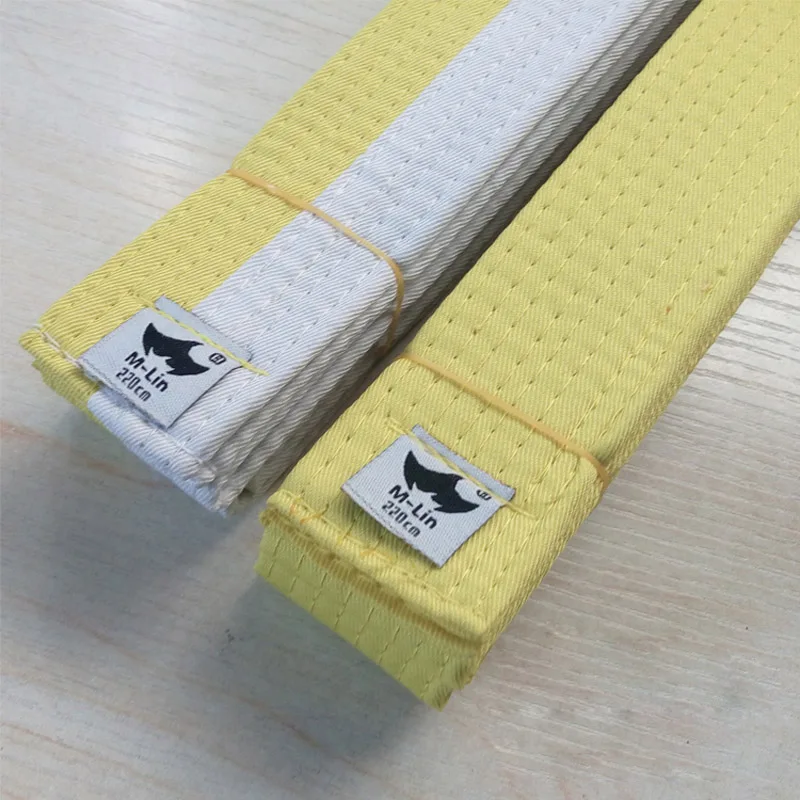 taekwondo belt 2