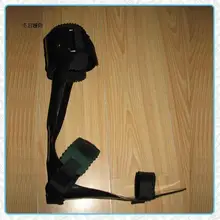 Podocytes блефароптоз/podocytes corniculatum/peroneal сторона нейропаралитический/podocytes задняя экстенсивность слабый/