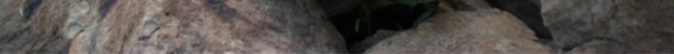 ENG_55